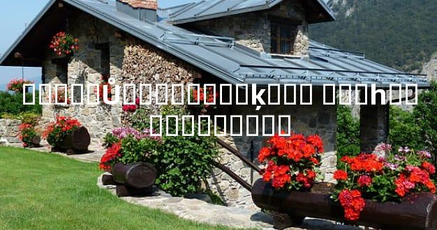 �ʻ���Ů���ѵ����ķ��� ���һ��������ѡ��